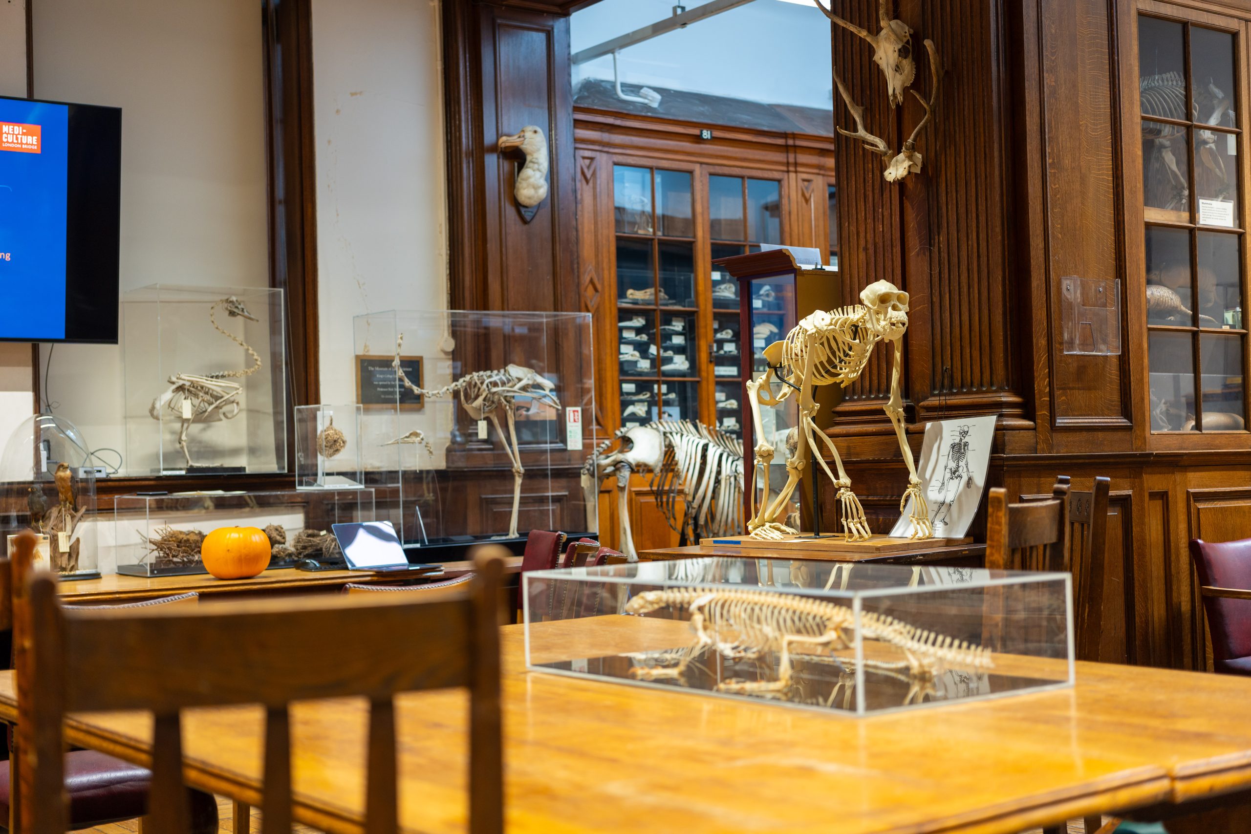 Music in the Museum – An Evening of Madrigal and Summer Harmonies
