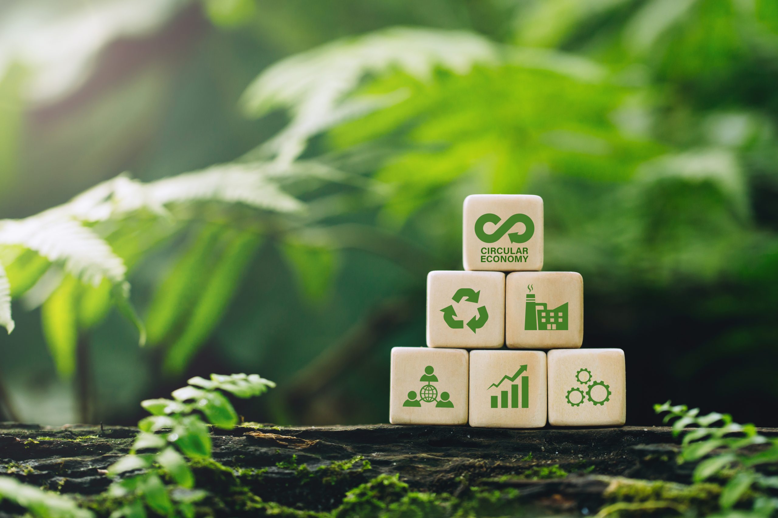 Circular Economy Week